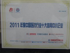 2011йҽҩҵʮСҵ